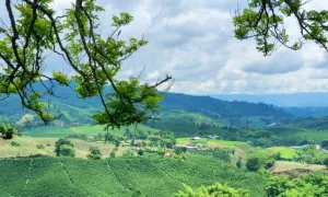 El CEIR presenta caracterización rural de algunas zonas de Colombia