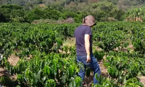 ¿Por qué es tan importante la agricultura de conservación?