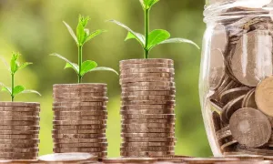 Agronegocios: apuestas innovadoras en el campo