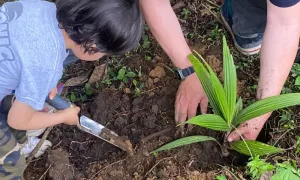 Un aporte valioso al medio ambiente