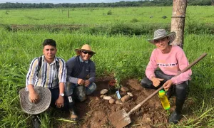 Cultivando identidad