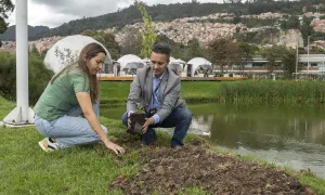 Unisalle siembra 41 árboles: un enfoque en la Restauración Ecológica y la Sostenibilidad