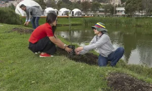 Unisalle siembra 41 árboles: un enfoque en la Restauración Ecológica y la Sostenibilidad