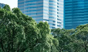 La arquitectura sostenible: el futuro de todo