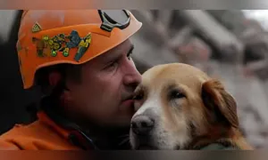 Alianza Estratégica: Valle del Cauca y Gobierno Nacional revolucionan el bienestar animal