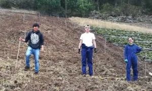 Unisalle le apuesta a la biofertilización