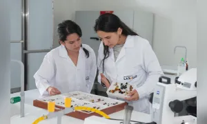 Renovación del Registro Calificado del Programa de Biología