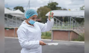 Bioseguridad en granjas porcinas