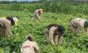 Colombia Alimentaria, una apuesta por el agro del país