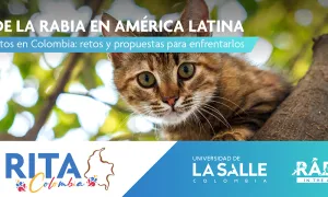 Unisalle es la sede mundial del congreso RITA