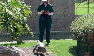 Convenio con el Parque Jaime Duque cumple 31 años