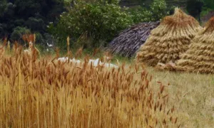 Alianzas significativas por las comunidades y la economía circular