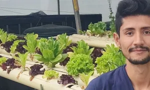 Ecooltiva: una apuesta por la sostenibilidad alimentaria