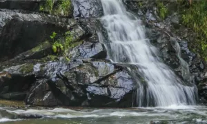 Ecoturismo como eje de transformación territorial