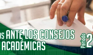 Profesores postulados ante los consejos de las unidades académicas 2024-2026