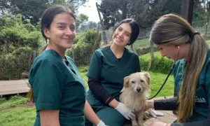 Estudiantes de Medicina Veterinaria de La Salle Participan en Jornada de Bienestar Animal