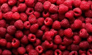 Cómo prevenir enfermedades transmitidas por alimentos