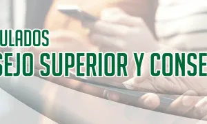 ¡Segunda jornada de votaciones! Elige a tu representante