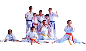 Karate do, más que un arte marcial