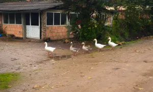 Misión Semana Santa Primer Semestre 2023