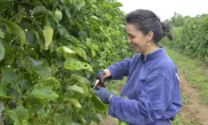 Universidad de La Salle lidera Proyecto de Empoderamiento a la Mujer Rural