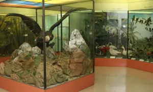 ¡Vive la nueva experiencia interactiva del Museo de La Salle!