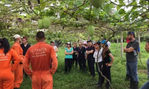 Facultad de Ciencias Agropecuarias Desarrolla Nueva Investigación Sobre Mejoramiento Genético en Bovinos