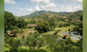 Nace una comunidad de práctica en una salud y biodiversidad en el camino hacia la COP16