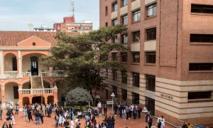 Perfiles profesionales que están buscando las empresas