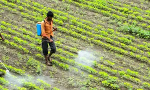 Pesticidas: un riesgo para la salud de los agricultores