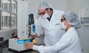 Conoce el primer semillero de investigación lasallista en Sabana Occidente