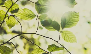 Unisalle llega a Chocó con proyecto de producción sostenible