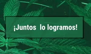 Queremos celebrar este gran logro contigo, porque juntos lo logramos