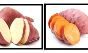 Bioprospección de raíces tuberosas y tubérculos de la agrobiodiversidad colombiana