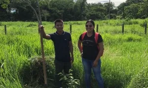 Estudiantes de Ingeniería Agronómica se unen a las siembras de árboles con sello Unisalle