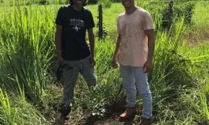Estudiantes de Ingeniería Agronómica se unen a las siembras de árboles con sello Unisalle