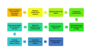 ¿Por qué es importante consumir agua?