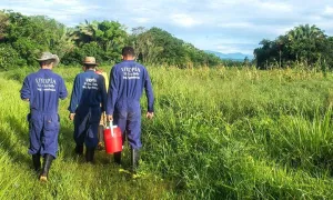 El impacto de la Revolución Verde en Colombia