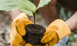 Webinar: Enseñanza de Temas Socioambientales