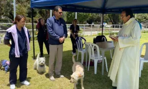 Bendición de las mascotas