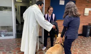 Padre Juvenal bendiciendo Golden Retriever