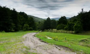 Acceso urbano y rural al agua 