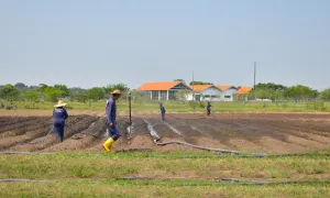 "Se le debe de apostar a la agricultura familiar” Dr. Thomas Preston