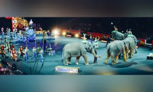 ¿Cómo evitar el uso de animales para espacios de entretenimiento?