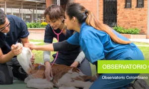 Observatorio Colombiano de Salud y Bienestar Animal (OCSBA)