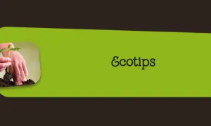 Ecotips