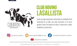 Club Bovino