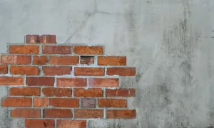 Construyendo Futuro Juntos