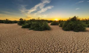 Actividades y sustancias contaminantes del suelo