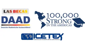 Cooperación internacional